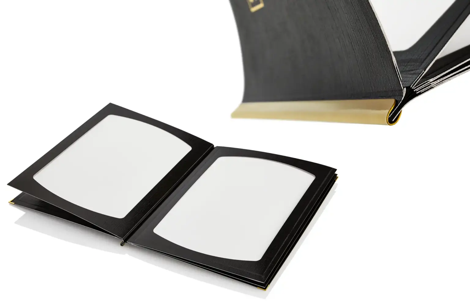 Gastrotopcard_ Configurator_SPEISKARTEN_17_Juwel_verstärkt_0002