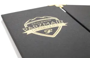 Gold-Metallicprägung auf Bucbinderleinen