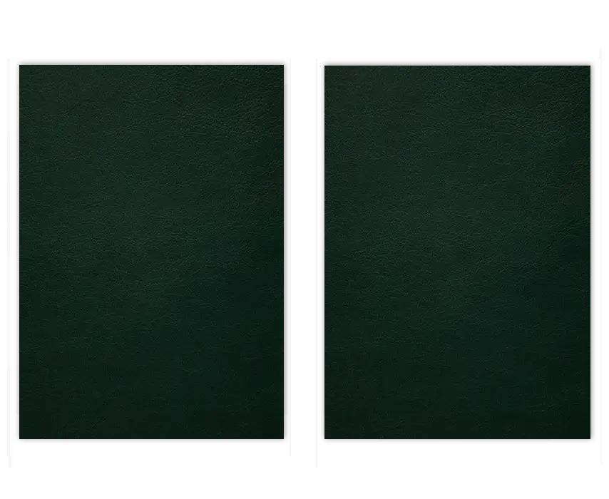 Visual Products Configurator option Image