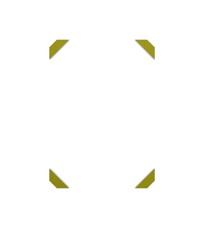 Image de l'option Configurateur de produits visuels