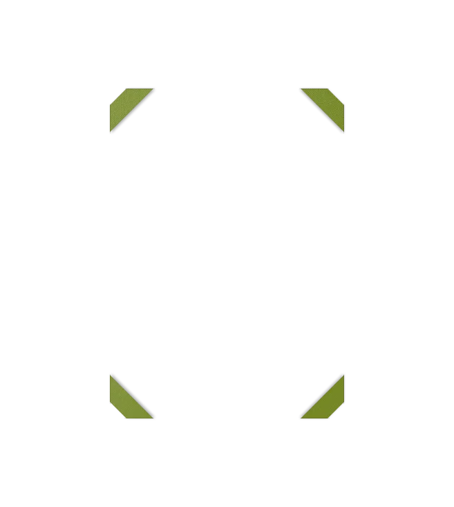 Image de l'option Configurateur de produits visuels