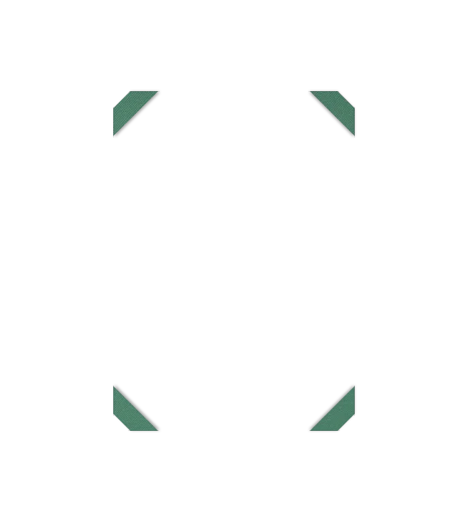 Image de l'option Configurateur de produits visuels