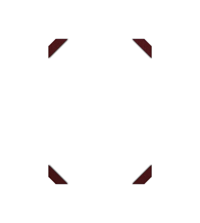 Image de l'option Configurateur de produits visuels