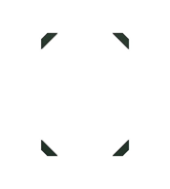 Image de l'option Configurateur de produits visuels