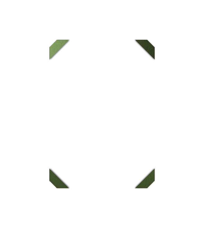 Image de l'option Configurateur de produits visuels