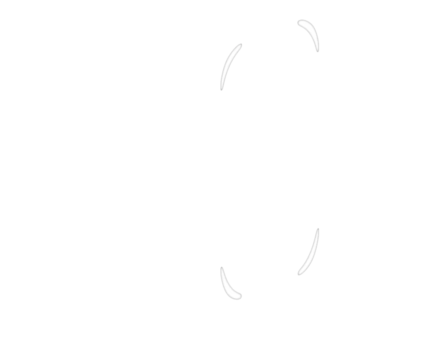 Image de l'option Configurateur de produits visuels