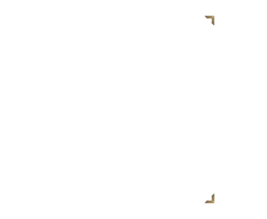 Image de l'option Configurateur de produits visuels