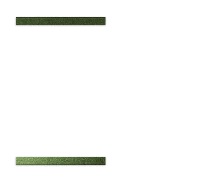 Image de l'option Configurateur de produits visuels