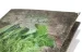 Menu en carton avec motif imprimé